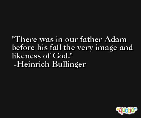 There was in our father Adam before his fall the very image and likeness of God. -Heinrich Bullinger