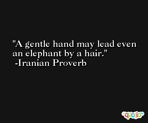 A gentle hand may lead even an elephant by a hair. -Iranian Proverb