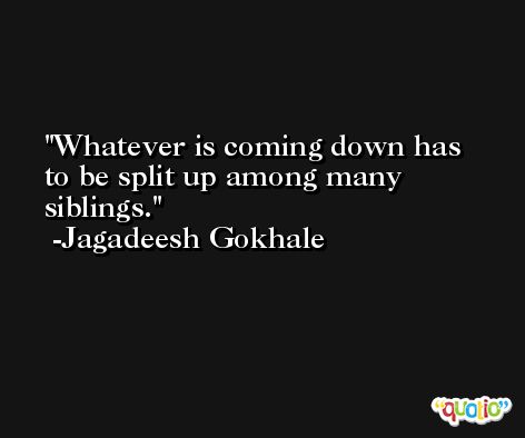 Whatever is coming down has to be split up among many siblings. -Jagadeesh Gokhale