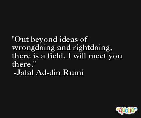 Out beyond ideas of wrongdoing and rightdoing, there is a field. I will meet you there. -Jalal Ad-din Rumi