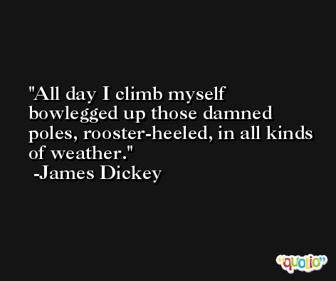 All day I climb myself bowlegged up those damned poles, rooster-heeled, in all kinds of weather. -James Dickey