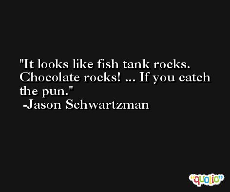 It looks like fish tank rocks. Chocolate rocks! ... If you catch the pun. -Jason Schwartzman