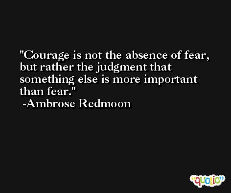 Courage is not the absence of fear, but rather the judgment that something else is more important than fear. -Ambrose Redmoon