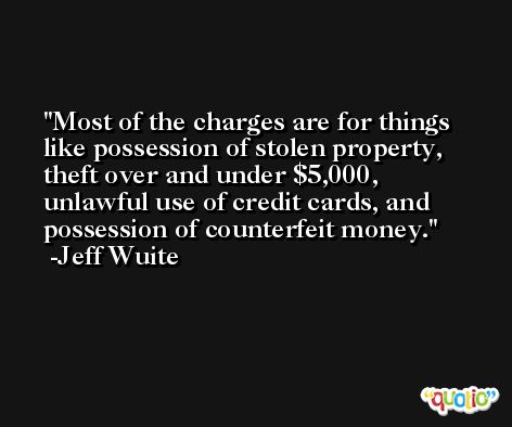 Most of the charges are for things like possession of stolen property, theft over and under $5,000, unlawful use of credit cards, and possession of counterfeit money. -Jeff Wuite