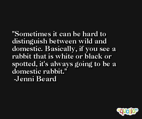 Sometimes it can be hard to distinguish between wild and domestic. Basically, if you see a rabbit that is white or black or spotted, it's always going to be a domestic rabbit. -Jenni Beard