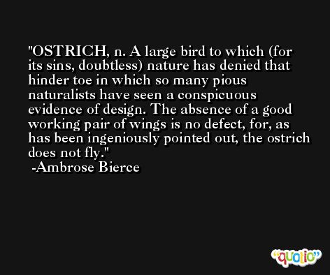 OSTRICH, n. A large bird to which (for its sins, doubtless) nature has denied that hinder toe in which so many pious naturalists have seen a conspicuous evidence of design. The absence of a good working pair of wings is no defect, for, as has been ingeniously pointed out, the ostrich does not fly. -Ambrose Bierce