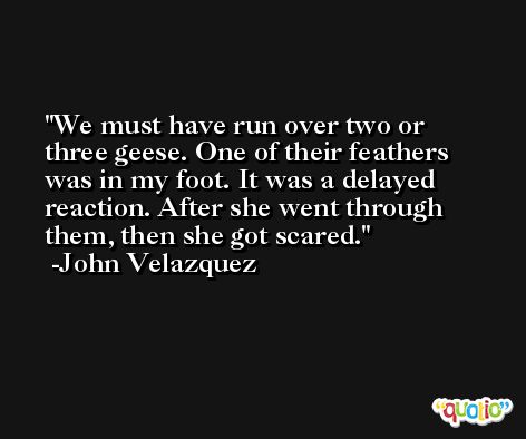We must have run over two or three geese. One of their feathers was in my foot. It was a delayed reaction. After she went through them, then she got scared. -John Velazquez