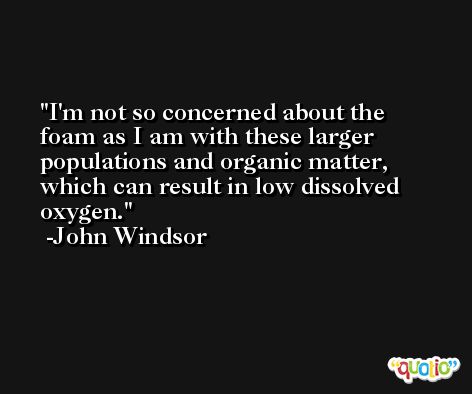 I'm not so concerned about the foam as I am with these larger populations and organic matter, which can result in low dissolved oxygen. -John Windsor