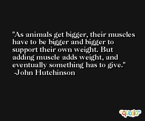 As animals get bigger, their muscles have to be bigger and bigger to support their own weight. But adding muscle adds weight, and eventually something has to give. -John Hutchinson