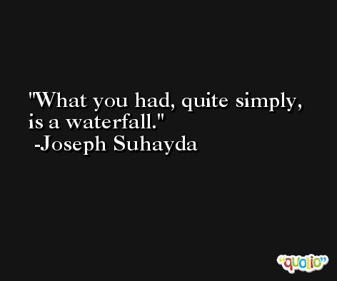 What you had, quite simply, is a waterfall. -Joseph Suhayda