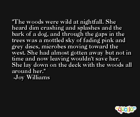 The woods were wild at nightfall. She heard dim crashing and splashes and the bark of a dog, and through the gaps in the trees was a mottled sky of fading pink and grey discs, microbes moving toward the west. She had almost gotten away but not in time and now leaving wouldn't save her. She lay down on the deck with the woods all around her. -Joy Williams