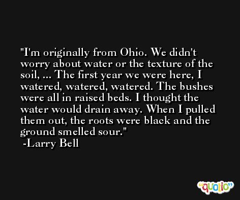 I'm originally from Ohio. We didn't worry about water or the texture of the soil, ... The first year we were here, I watered, watered, watered. The bushes were all in raised beds. I thought the water would drain away. When I pulled them out, the roots were black and the ground smelled sour. -Larry Bell
