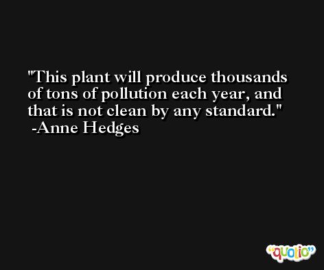 This plant will produce thousands of tons of pollution each year, and that is not clean by any standard. -Anne Hedges