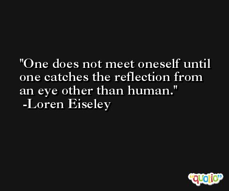 One does not meet oneself until one catches the reflection from an eye other than human. -Loren Eiseley