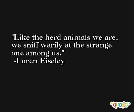 Like the herd animals we are, we sniff warily at the strange one among us. -Loren Eiseley