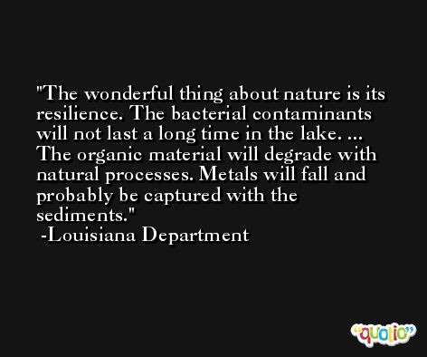 The wonderful thing about nature is its resilience. The bacterial contaminants will not last a long time in the lake. ... The organic material will degrade with natural processes. Metals will fall and probably be captured with the sediments. -Louisiana Department