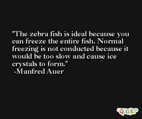 The zebra fish is ideal because you can freeze the entire fish. Normal freezing is not conducted because it would be too slow and cause ice crystals to form. -Manfred Auer