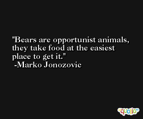 Bears are opportunist animals, they take food at the easiest place to get it. -Marko Jonozovic