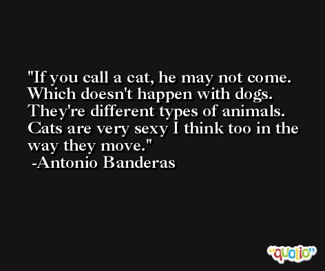 If you call a cat, he may not come. Which doesn't happen with dogs. They're different types of animals. Cats are very sexy I think too in the way they move. -Antonio Banderas