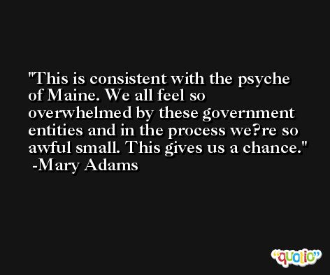 This is consistent with the psyche of Maine. We all feel so overwhelmed by these government entities and in the process we?re so awful small. This gives us a chance. -Mary Adams