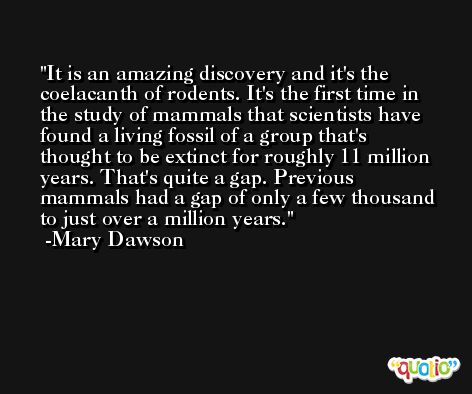 It is an amazing discovery and it's the coelacanth of rodents. It's the first time in the study of mammals that scientists have found a living fossil of a group that's thought to be extinct for roughly 11 million years. That's quite a gap. Previous mammals had a gap of only a few thousand to just over a million years. -Mary Dawson