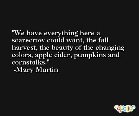 We have everything here a scarecrow could want, the fall harvest, the beauty of the changing colors, apple cider, pumpkins and cornstalks. -Mary Martin