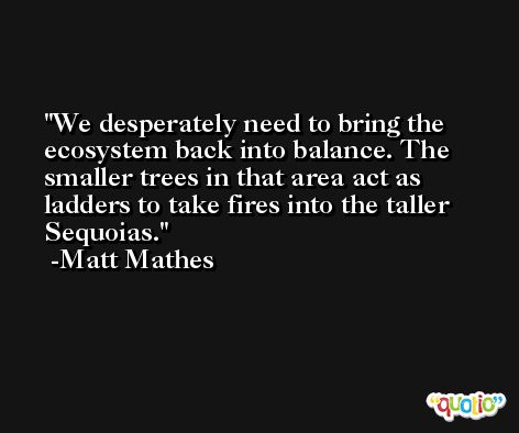 We desperately need to bring the ecosystem back into balance. The smaller trees in that area act as ladders to take fires into the taller Sequoias. -Matt Mathes