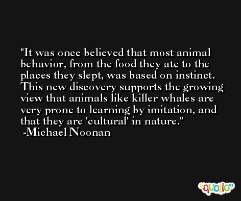 It was once believed that most animal behavior, from the food they ate to the places they slept, was based on instinct. This new discovery supports the growing view that animals like killer whales are very prone to learning by imitation, and that they are 'cultural' in nature. -Michael Noonan