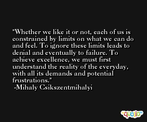 Whether we like it or not, each of us is constrained by limits on what we can do and feel. To ignore these limits leads to denial and eventually to failure. To achieve excellence, we must first understand the reality of the everyday, with all its demands and potential frustrations. -Mihaly Csikszentmihalyi