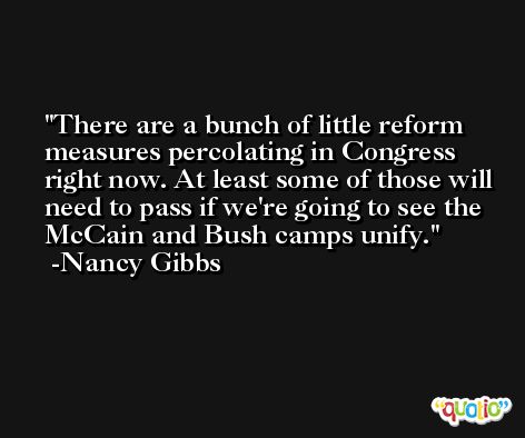 There are a bunch of little reform measures percolating in Congress right now. At least some of those will need to pass if we're going to see the McCain and Bush camps unify. -Nancy Gibbs