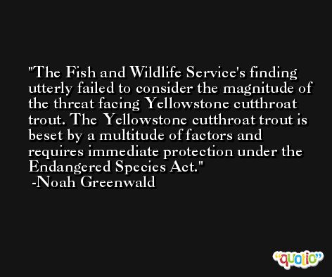 The Fish and Wildlife Service's finding utterly failed to consider the magnitude of the threat facing Yellowstone cutthroat trout. The Yellowstone cutthroat trout is beset by a multitude of factors and requires immediate protection under the Endangered Species Act. -Noah Greenwald