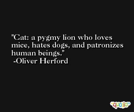 Cat: a pygmy lion who loves mice, hates dogs, and patronizes human beings. -Oliver Herford