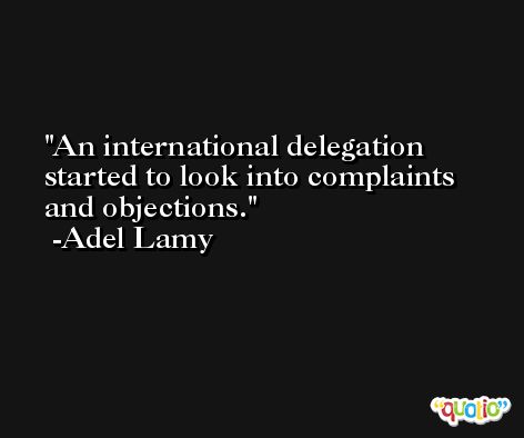 An international delegation started to look into complaints and objections. -Adel Lamy