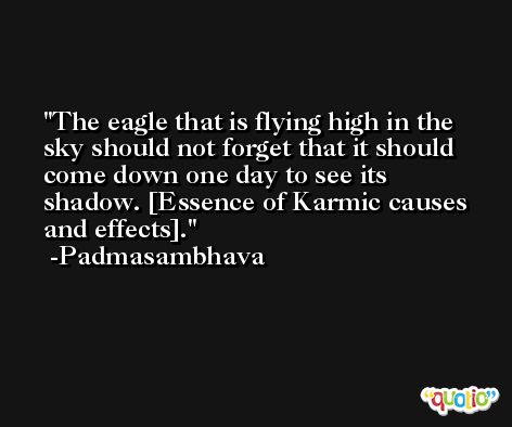 The eagle that is flying high in the sky should not forget that it should come down one day to see its shadow. [Essence of Karmic causes and effects]. -Padmasambhava