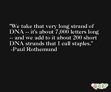 We take that very long strand of DNA -- it's about 7,000 letters long -- and we add to it about 200 short DNA strands that I call staples. -Paul Rothemund