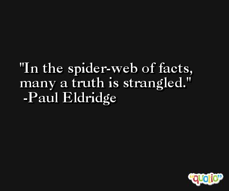 In the spider-web of facts, many a truth is strangled. -Paul Eldridge