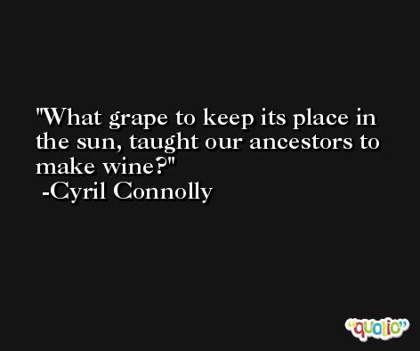 What grape to keep its place in the sun, taught our ancestors to make wine? -Cyril Connolly