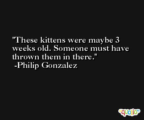 These kittens were maybe 3 weeks old. Someone must have thrown them in there. -Philip Gonzalez