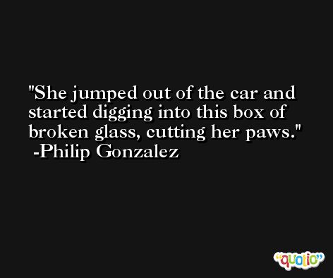 She jumped out of the car and started digging into this box of broken glass, cutting her paws. -Philip Gonzalez