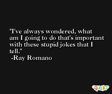 I've always wondered, what am I going to do that's important with these stupid jokes that I tell. -Ray Romano