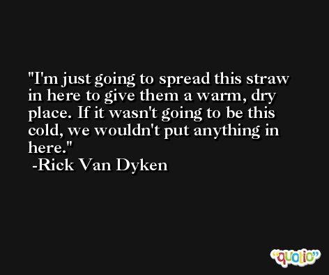 I'm just going to spread this straw in here to give them a warm, dry place. If it wasn't going to be this cold, we wouldn't put anything in here. -Rick Van Dyken