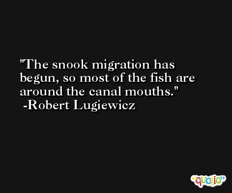 The snook migration has begun, so most of the fish are around the canal mouths. -Robert Lugiewicz