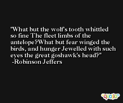 What but the wolf's tooth whittled so fine The fleet limbs of the antelope?What but fear winged the birds, and hunger Jewelled with such eyes the great goshawk's head? -Robinson Jeffers
