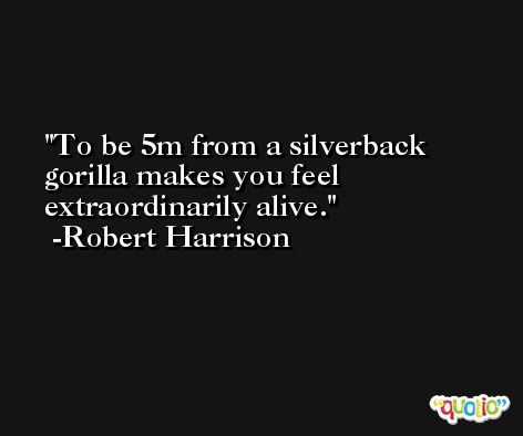 To be 5m from a silverback gorilla makes you feel extraordinarily alive. -Robert Harrison