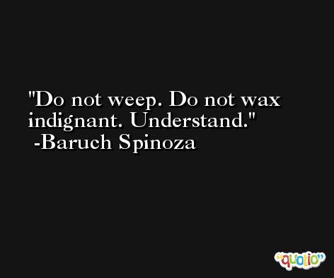 Do not weep. Do not wax indignant. Understand. -Baruch Spinoza