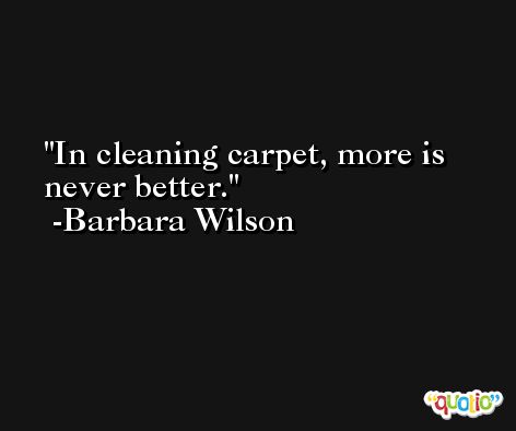 In cleaning carpet, more is never better. -Barbara Wilson