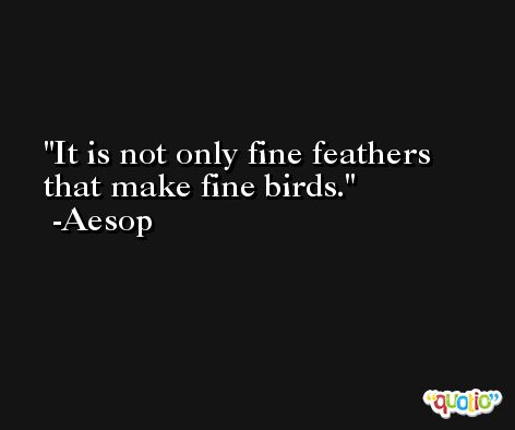 It is not only fine feathers that make fine birds. -Aesop
