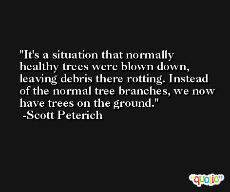 It's a situation that normally healthy trees were blown down, leaving debris there rotting. Instead of the normal tree branches, we now have trees on the ground. -Scott Peterich