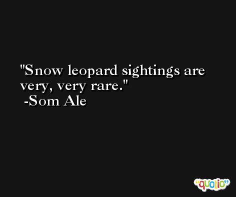 Snow leopard sightings are very, very rare. -Som Ale