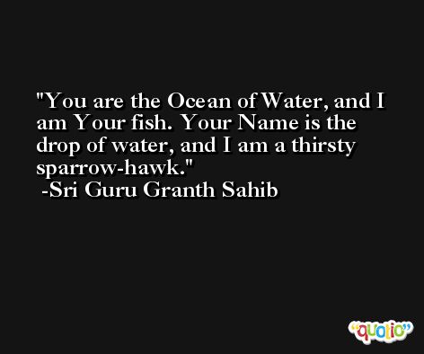 You are the Ocean of Water, and I am Your fish. Your Name is the drop of water, and I am a thirsty sparrow-hawk. -Sri Guru Granth Sahib